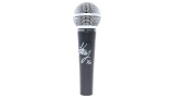 Kacey Musgrave mic2 copy