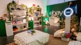 ebay holiday zen room3