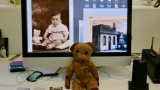 teddy 5