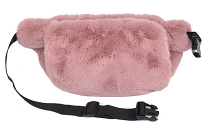 101017 fannypack