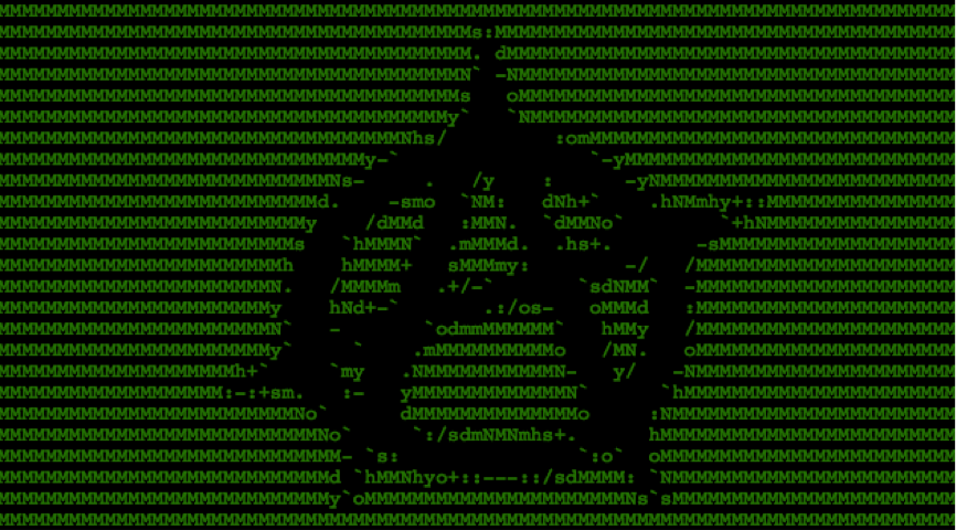 developer anarchy day