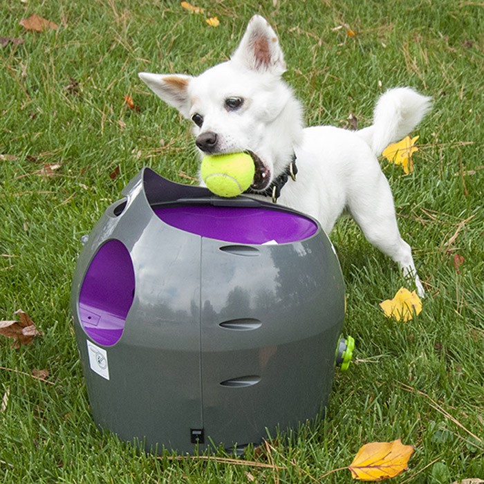 AU 120221 Petsafe Automatic Ball Launcher Dog Toy
