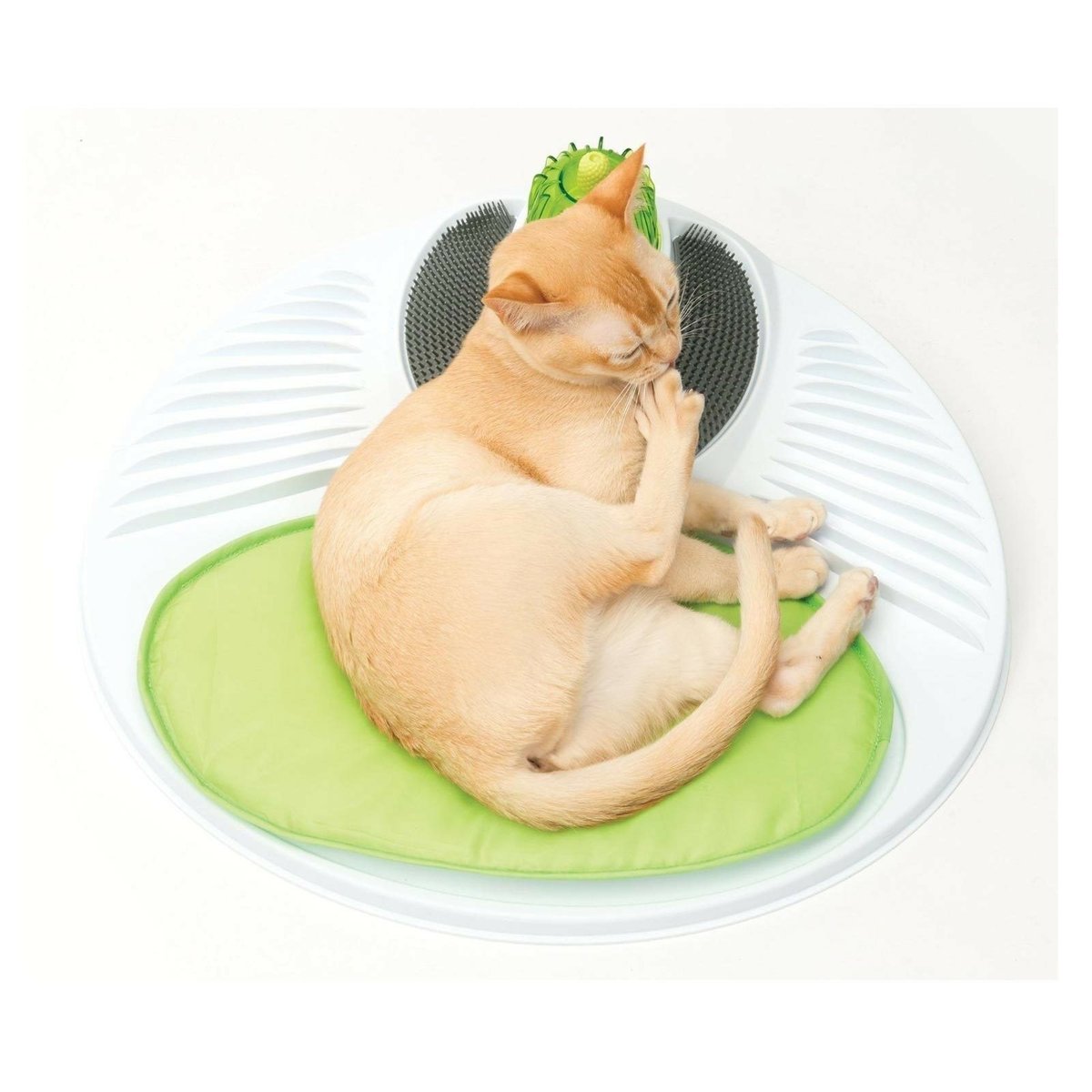 AU 120221 Catit Cat Senses 2.0 Wellness Centre