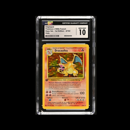 Visuel Pokemon