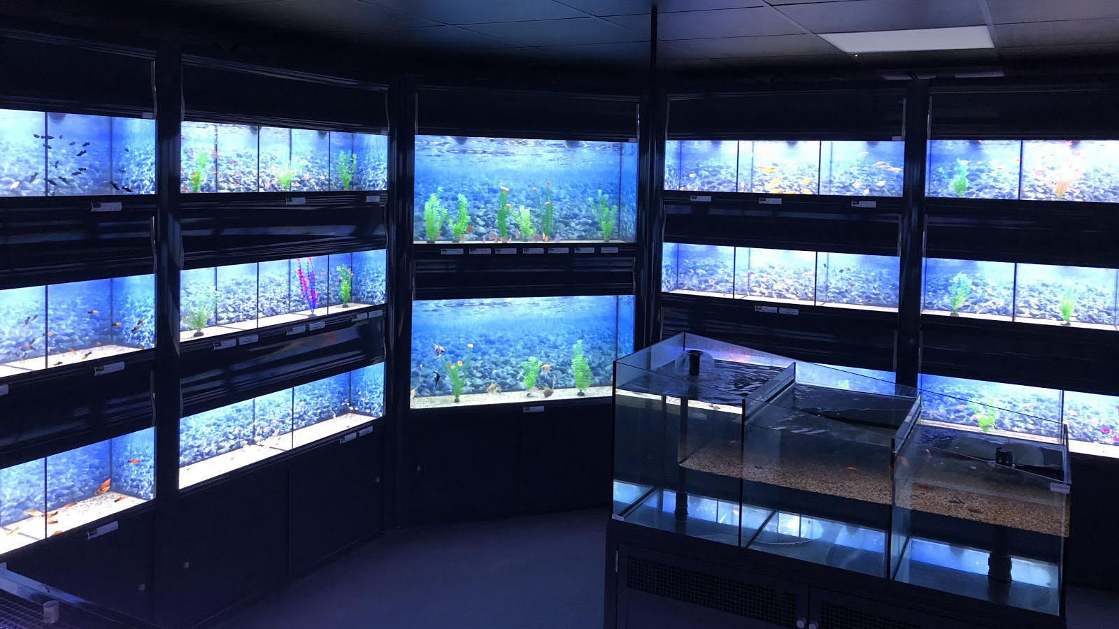 aquarium and pet center