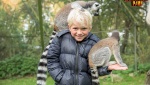 eBay Serengeti Park Pressebild2