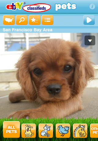eBay Classifieds Pets iPhone App homescreen