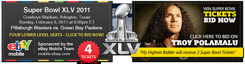 Super Bowl XLV Charity Auction