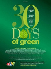 ebaygreenteam.com