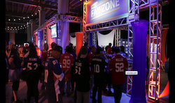 stubhub_crowdshot_small
